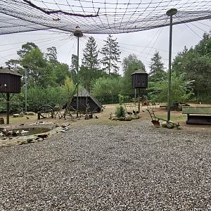 Large aviary (Chickens, ducks, pigeons and pheasants)