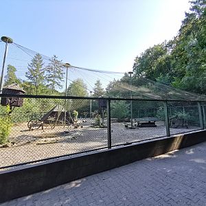 Large aviary (Chickens, ducks, pigeons and pheasants)