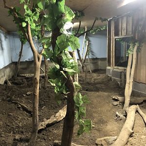 Armadillo Enclosure at Northumberland Country Zoo (September 2021)