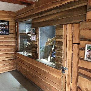 Chinchilla Enclosures at Northumberland Country Zoo (September 2021)