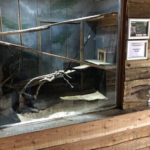 Chinchilla Enclosure at Northumberland Country Zoo (September 2021)