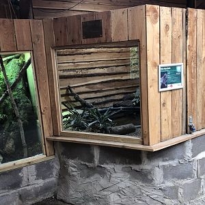 Hot House Vivariums at Northumberland Country Zoo (September 2021)