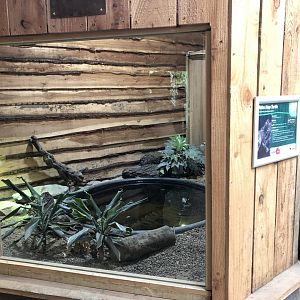 False Map Turtle Enclosure at Northumberland Country Zoo (September 2021)