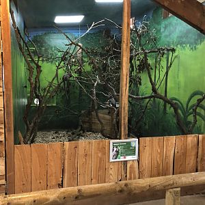 Common Marmoset Enclosure at Northumberland Country Zoo (September 2021)