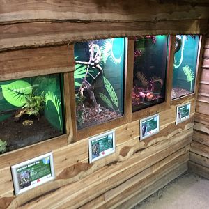 Various Vivariums at Northumberland Country Zoo (September 2021)