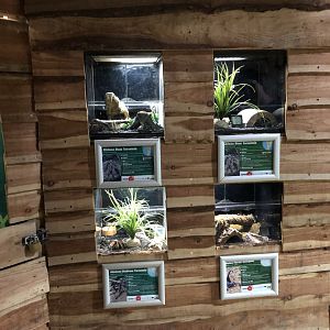Arachnid Vivariums at Northumberland Country Zoo (September 2021)