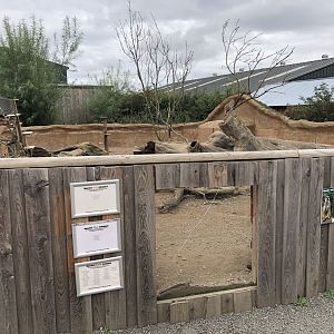 Meerkat Enclosure Broken Window at Northumberland Country Zoo (September 2021)