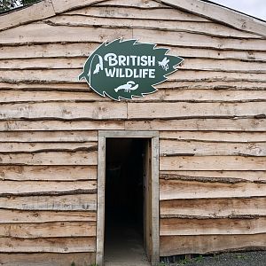 British Wildlife Exterior at Northumberland Country Zoo (September 2021)