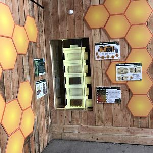 Bee Exhibit at Northumberland Country Zoo (September 2021)