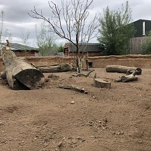 Meerkat/Porcupine Enclosure at Northumberland Country Zoo (September 2021)