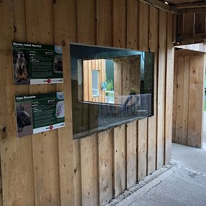Meerkat/Porcupine Indoor Viewing Area at Northumberland Country Zoo (September 2021)