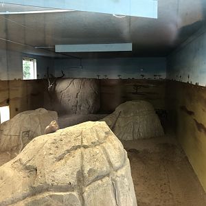 Meerkat/Porcupine Indoor Enclosure at Northumberland Country Zoo (September 2021)