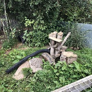 Ferret Enclosure at Northumberland Country Zoo (September 2021)