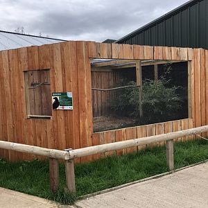 Common Raven Aviary at Northumberland Country Zoo (September 2021)