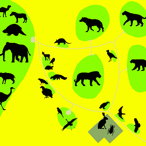 Florida Wildlife Conservation Center - Grassland