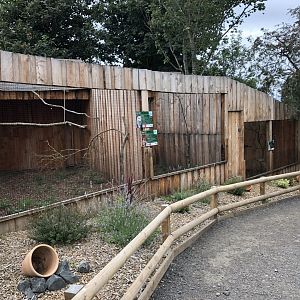 Bird of Prey Aviaries at Northumberland Country Zoo (September 2021)
