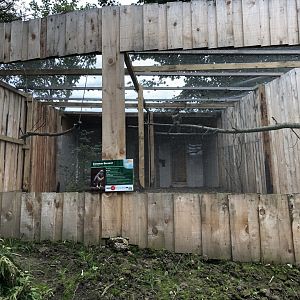 Common Buzzard Aviary at Northumberland Country Zoo (September 2021)