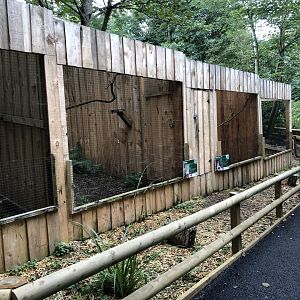 Owl Aviaries at Northumberland Country Zoo (September 2021)