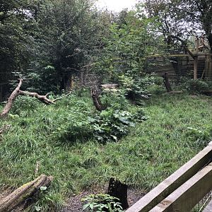 Arctic Fox Enclosure at Northumberland Country Zoo (September 2021)