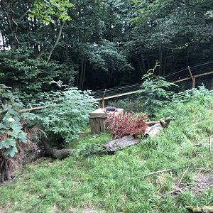 Arctic Fox Enclosure at Northumberland Country Zoo (September 2021)