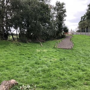Lemur Walkthrough Enclosure at Northumberland Country Zoo (September 2021)