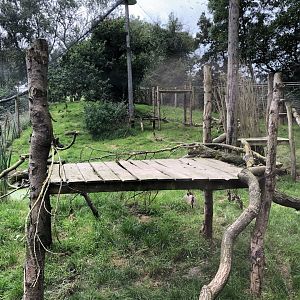 Canadian Lynx Enclosure at Northumberland Country Zoo (September 2021)