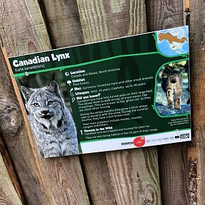 Signage Example (Canadian Lynx) at Northumberland Country Zoo (September 2021)
