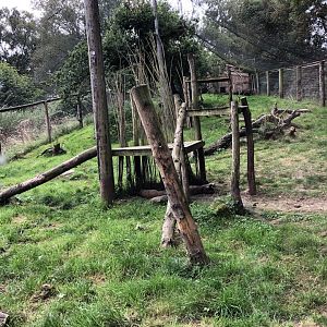 Canadian Lynx Enclosure at Northumberland Country Zoo (September 2021)