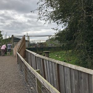 View Towards Raccoon and Snow Leopard Enclosures at Northumberland Country Zoo (September 2021)