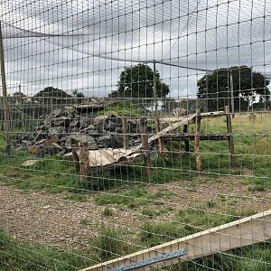 Snow Leopard Enclosure #1 at Northumberland Country Zoo (September 2021)