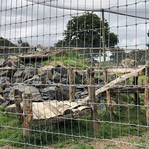 Snow Leopard Enclosure #1 at Northumberland Country Zoo (September 2021)