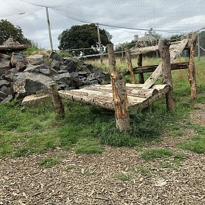 Snow Leopard Enclosure #1 at Northumberland Country Zoo (September 2021)