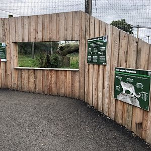Snow Leopard Viewing at Northumberland Country Zoo (September 2021)