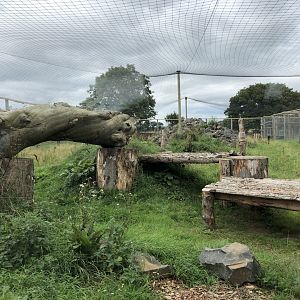 Snow Leopard Enclosure #2 at Northumberland Country Zoo (September 2021)