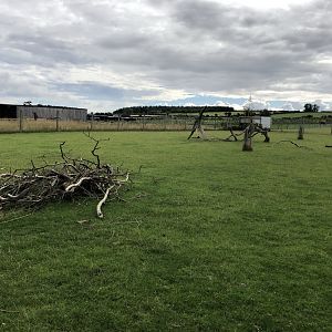Fallow Deer Enclosure at Northumberland Country Zoo (September 2021)