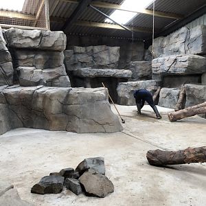 Indoor Snow Leopard Enclosure at Northumberland Country Zoo (September 2021)