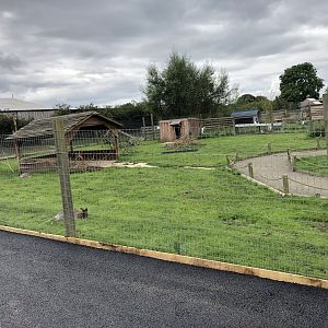 Wallaby Enclosure at Northumberland Country Zoo (September 2021)