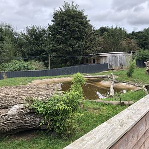 Asian Short-Clawed Otter Enclosure at Northumberland Country Zoo (September 2021)