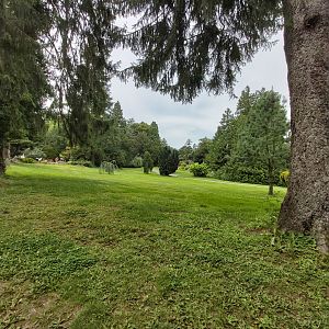 Overview of the botanical garden