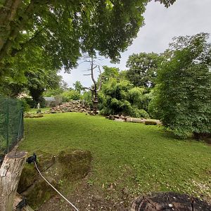 Red kangaroo & yellow-footed rock wallaby enclosure