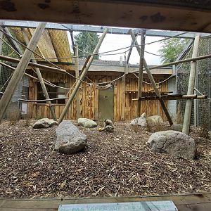 Typical aviary for gibbon