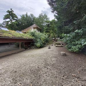 Tortoise enclosure