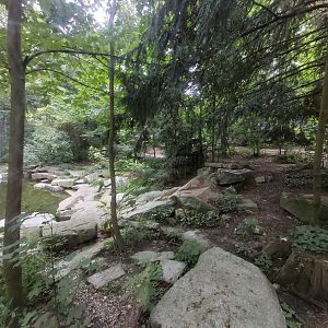 Siberian tiger enclosure