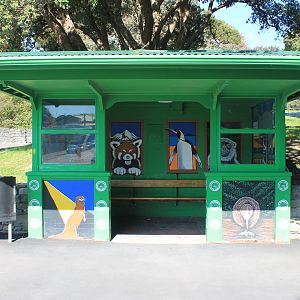 Zoo bus stop