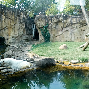 Sep. 2021 - Northwest Passage - Second Polar Bear Exhibit (Former Black Bear)
