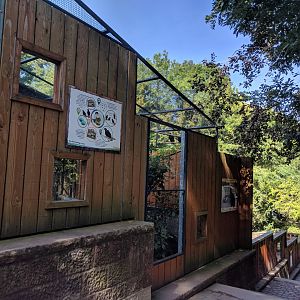 Treasures of the Phillipines Hill Mynah Enclosure
