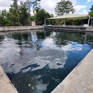 May. 2021 - Turtle Trek & Manatee Rescue - Second Manatee Rehab Tank