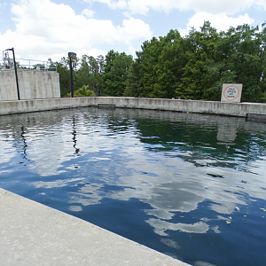 May. 2021 - Turtle Trek & Manatee Rescue - Second Manatee Rehab Tank