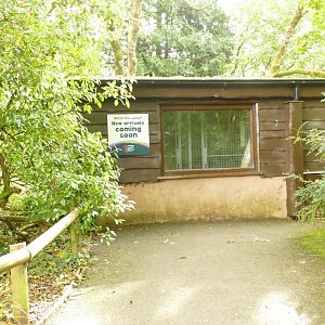 New arrivals #1? September 2021