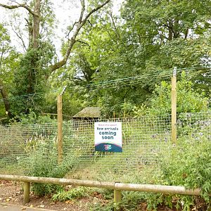 New arrivals #2? September 2021